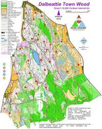 Image result for Solway Orienteers