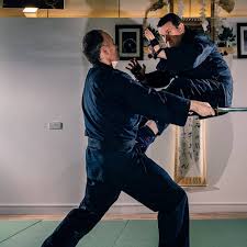 Image result for M-S-N Ninjutsu (Bujinkan) Club