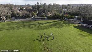 Image result for Bere Regis Cricket Club