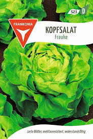 Image result for Kopfsalat