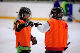 Image result for Haringey Junior Ice Hockey Club