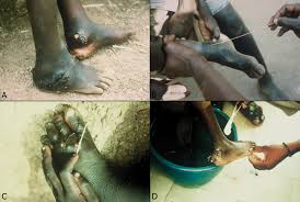 Image result for Lewandowsky-Lutz