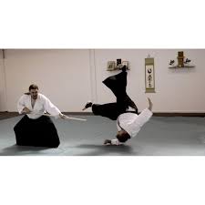 Image result for West Midlands Aikido Association Dojo