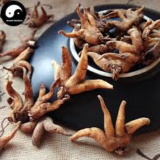 Attēlu rezultāti vaicājumam “Gymnadenia conopsea fruit”