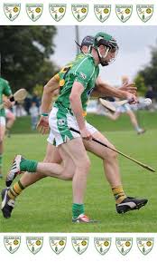 Image result for Killeagh Gaa