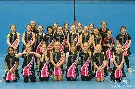 Image result for Normanton Falcons Netball Club