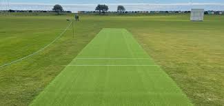 Image result for Thriplow Cricket Club