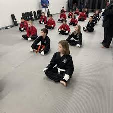 Image result for Action Karate