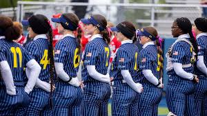 Image result for Lions Softball Club