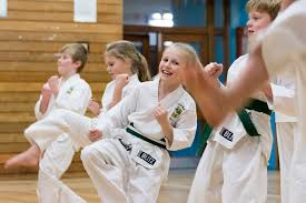 Image result for Sudbury Hapkido Club