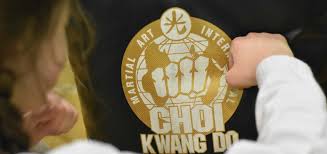 Image result for southern academy choi kwang do