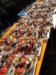 「野川由実」の画像検索結果