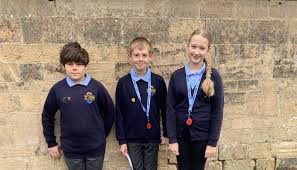 Image result for Peasedown-St-John Cc