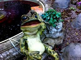 Image result for Bath Amphibians