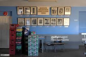 Image result for Shelf Cricket Club