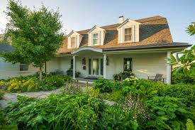 Attēlu rezultāti vaicājumam “Cribraria rubiginosa stalked”