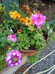 Image result for Newton Park Bowling Club