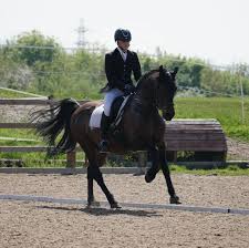 Image result for Oxford University Riding Club