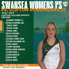 Image result for Swansea Ladies Hockey Club