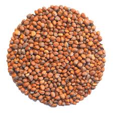 Image result for Radieschen