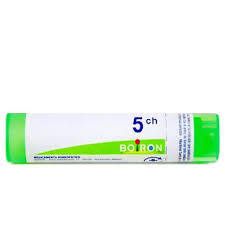 Attēlu rezultāti vaicājumam “Ledum palustre”