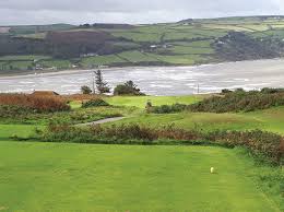 Image result for Cardigan Golf Club