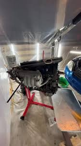 Image result for tuscani tibu...start=0