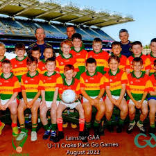Image result for St Bronagh`s Gaa