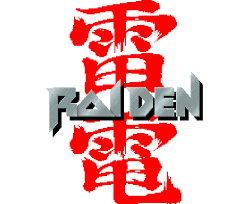 Αποτέλεσμα εικόνας για raiden arcade
