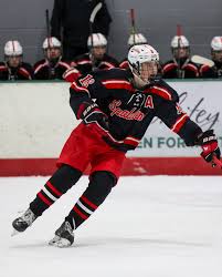 Image result for Spalding Hockey Club