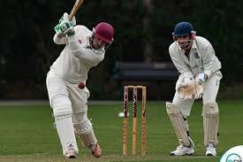Image result for Fareham and Crofton Cricket Club