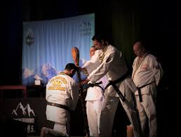 Image result for Ndm Martial Arts