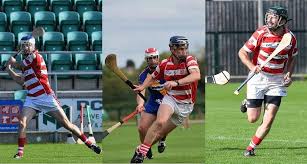 Image result for Sean Treacy`s Hurling Club
