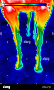 Image result for thermographie-aufnahmen