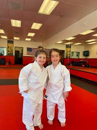 Image result for Newport Kyokushin Karate Club