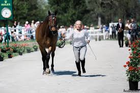 Image result for Hawley Badminton Club