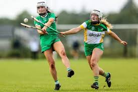 Image result for Limerick Draughts Club