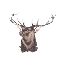 Image result for Alcester & Ragley CC