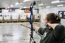 Image result for Blue Arrows Archery Club