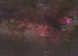 Attēlu rezultāti vaicājumam “Cygnus”