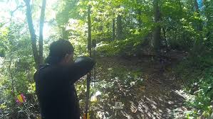 Image result for Cloth Of Gold Field Archery Club