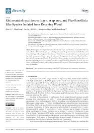 Attēlu rezultāti vaicājumam “Rosellinia desmazieri spores”