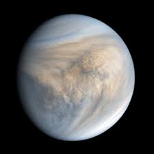 Image result for venus