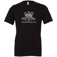 Image result for Pontblyddyn Cricket Club