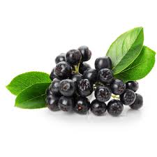 Attēlu rezultāti vaicājumam “Aronia melanocarpa fruit”