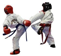 Image result for I T F Taekwondo (Andover)