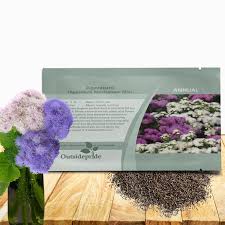 Image result for Ageratum mexicanum