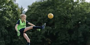 Image result for Marist Badminton Club