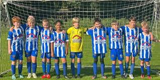 Image result for Manor Colts Youth Football Club