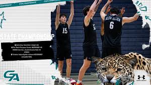 Image result for Chesterfield Cobras Volleyball Club